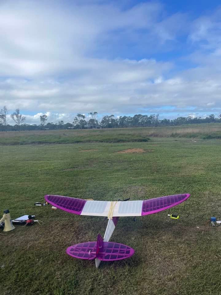 Purple Flamingo Glider