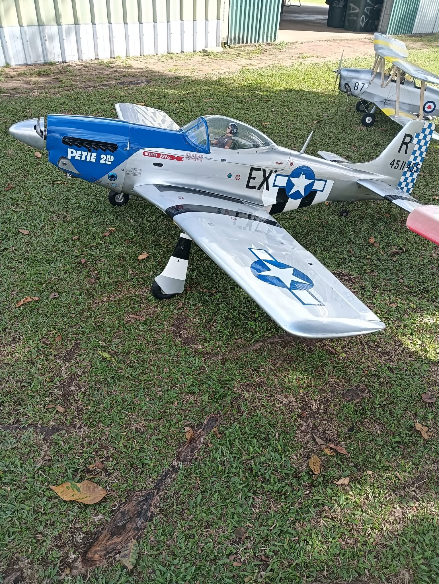 P-51 Mustang Silver Warbird